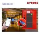 消防器材柜|Sysbel消防器材柜_智能消防器材柜 WA9500906